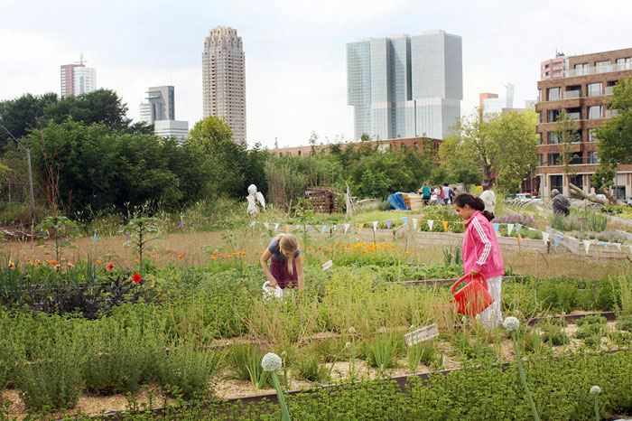 Cities have become important policy actors on food issues. Photo: Rotterdamse Munt